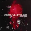 Mario Guida - Words.I've.Never.Said